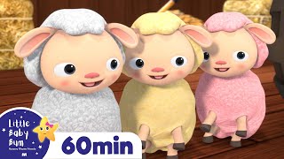 Hickory Dickory Dock  More  1 Hour of Best Baby Songs amp Nursery Rhymes  Little Baby Bum [upl. by Eeliak]