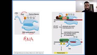 Aula 12  Produção de RNA [upl. by Edijabab]