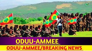 oduu injifannoo wbo guutuu oromiyaa Oduu Afaan Oromo Guyyaa Haraa  16 November 2024 [upl. by Zerla]