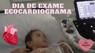 ECOCARDIOGRAMA  EXAME DE ROTINA [upl. by Normi]