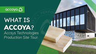 What is Accoya Wood  Accsys Technologies Site Tour [upl. by Gnilrac]