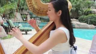 Hornpipe from Water Music  Harp Solo [upl. by Yelats680]