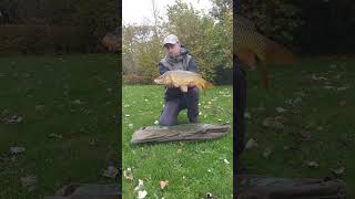 Karpervissen 14112024 fishing angling carp karper [upl. by Airogerg]