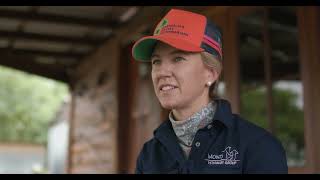 Pestivirus often flies under the radar Dr Stacey Rae QLD Cattle Vet [upl. by Pyotr]