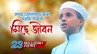 হৃদয় তোলপাড় করা মরমি গজল । Miche Jibon । মিছে জীবন । Hujaifa Islam Kalarab [upl. by Ylagam]