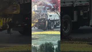 Watch as tree leaves get sucked up vacuum leaves fall fallleaves cleanup township yard tree [upl. by Corvin]