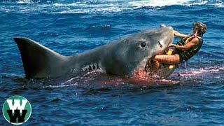 10 DEADLIEST Shark Attack Stories [upl. by Jobey]