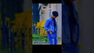 lovesongs habesha duet amharic eritreansong love [upl. by Orfield]