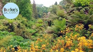 Burkes Backyard The Lost Gardens Of Heligan England [upl. by Hogue]