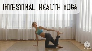 Intestinal health Yoga Routine Healthy Gut open level [upl. by Magnolia187]