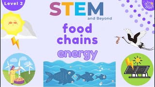 Food Chains Science For Kids Year 2  STEM Home Learning [upl. by Eutnoj]