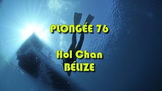 Plongée 76 8m Hol Chan  BÉLIZE [upl. by Rohpotsirhc]