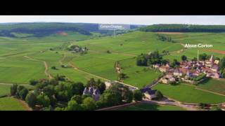 The vineyard of Bourgogne seen from the sky [upl. by Desta]