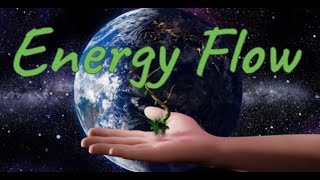 Flow of Energy in an Ecosystem Producers Consumers and Decomposers [upl. by Emory302]