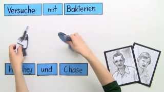 Bakterien  Der Versuch vo Hershey und Chase  Biologie  Genetik [upl. by Anna-Maria]