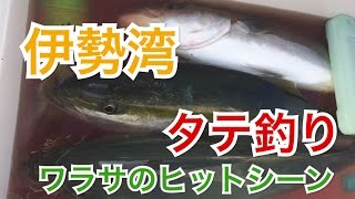 ブリ・ワラサのタテ釣りヒットシーン [upl. by Otsedom]