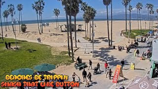 Venice Beach Webcam  Venice Beach Live Cam  venice beach live boardwalk cam [upl. by Natanoy]