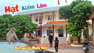 Đi Gần 40km Để Xin Giấy Phép Nuôi Khỉ Nhưng Kết Quả Không Như Mong Đợi  Quế Nghịch [upl. by Elman]