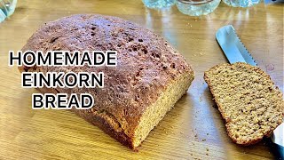 HOW TO MAKE EINKORN BREAD  ANCIENT GRAIN  SDA COUNTRY LIVING [upl. by Yesmar]