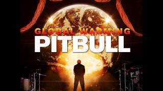 Pitbull Ft Chris Brown Hope We Meet Again [upl. by Pollitt]