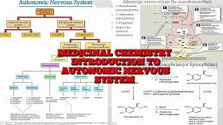 8 Medicinal Chemistry 1 Introduction to Autonomic nervous system and sympathetic drugs [upl. by Naliorf557]