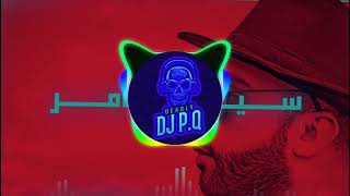 سيف عامر شجره ريمكس DJ PQ [upl. by Yssim]