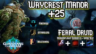 M25 Waycrest Manor  Feral Druid  Dragonflight Season 3  WoW 102 [upl. by Oigufer]