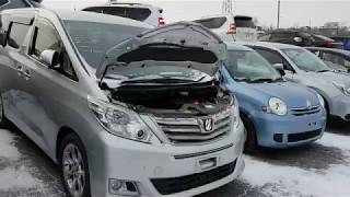 Авторынок 2018 цены ещё меньше Toyota Alphard vs Vellfire [upl. by Lahsram]