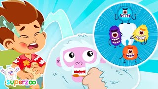 NEW Toothbrushing song  Kids learn how to brush their teeth with Superzoo [upl. by Nalid]