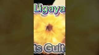 Ligaya  finger style cover  lits guitar ctto shortvideo cover opm ligaya [upl. by Yatnoed]