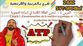 Consommation de la matière organique et production de lénergie 2BAC  SVT SPC biof Partie 1 [upl. by Leipzig]