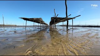 À LègeCap Ferret  ces friches ostréicoles que lon ne veut plus voir [upl. by Htebaras]