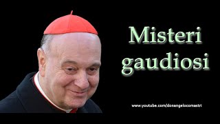 Mons Angelo Comastri – Misteri gaudiosi del Santo Rosario [upl. by Nell453]