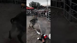 Lo mando directamente al H0SPlTL Coqueto de rancho los ahuehuetes toros toro torobravo [upl. by Esaj]