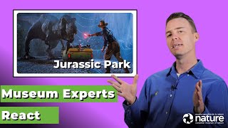 A Palaeontologist Reacts to the Jurassic Park Series [upl. by Gerbold]