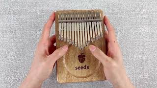 Canon  seeds kalimba 17 key okoume kalimbakalimbasongsmarimbas [upl. by Nicole469]