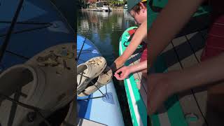 viralvideo bassfishing fishing sportfishing fish tournament tournamentfishing [upl. by Neenahs885]