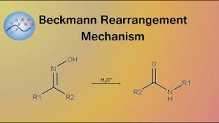 Beckmann Rearrangement Mechanism  Organic Chemistry [upl. by Spiegelman]