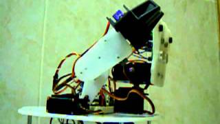 Brazo robot RobotyPic [upl. by Assirol]