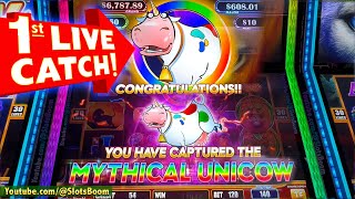 1st LIVE UNICOW on LION EYES SLOT BONUS FREE GAMES amp RETRIGGER  CASINO SLOT Yaamava [upl. by Andromede]