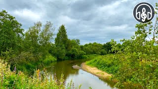 Beautiful singing of morning birds by the calm river 10 Hours of 4K video [upl. by Neehsas300]