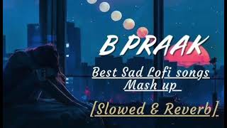 B Praak Sad Song [upl. by Bixby]