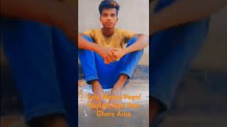 Vala manus pagol hoylam ami bow ghore aina [upl. by Nazario]