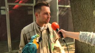 Ein Tag im Weltvogelpark Walsrode [upl. by Tome]