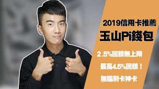 玉山pi錢包信用卡，最高45回饋，繳費也有35！2019小資族推薦信用卡！｜SHIN LI [upl. by Chane90]