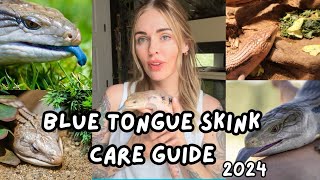 Blue Tongue Skink Care Guide [upl. by Leahci]