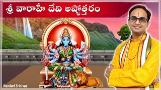 వారాహీ దేవి అష్టోత్తరం  Varahi Ashtottaram chanting audio  Nanduri Srivani [upl. by Enitsua69]