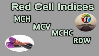 Red Cell Indices in hindi ll MCV ll MCH ll MCHC ll RDW ll Hematology And Blood Banking [upl. by Ssilem672]