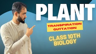 Excretion In Plants  Transpiration  Guttation  Class 10th Biology  Basharat Ali Lectures [upl. by Suoiluj]