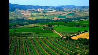 Brunello di Montalcino Tuscany Tour [upl. by Annoyi]